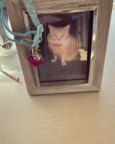 Personalized Pet Photo Necklace With A Picture Inside