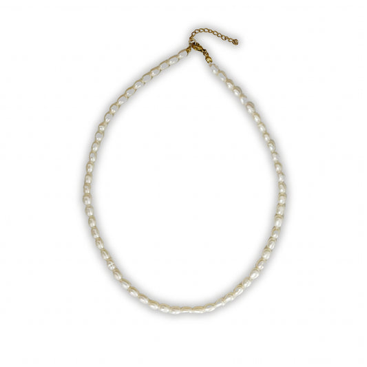 Basic Pearl Charm Necklace - Camillaboutiqueshop
