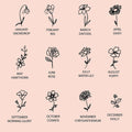 Birth Flower Bracelet-Birthstone Bracelet - Camillaboutiqueco camillaboutiqueshop.com