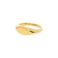 Oval Blank Signet Ring - Camillaboutiqueshop