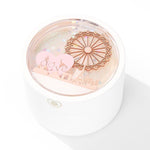 Sky Wheel Light Jewelry Box - camillaboutiqueshop